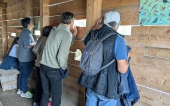 BA5-Fraktion bei der Vogelbeobachtung