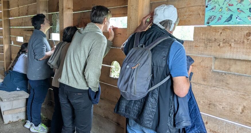 BA5-Fraktion bei der Vogelbeobachtung